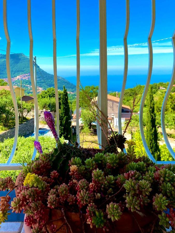 Residenze Maremonti Lejlighed Maratea Eksteriør billede